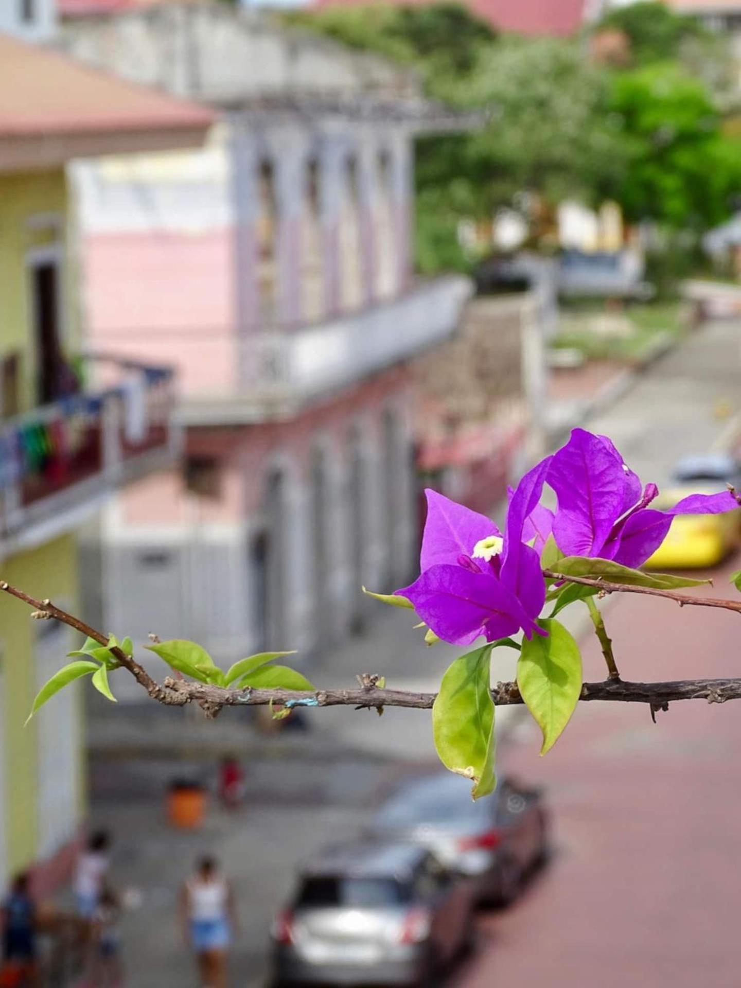 Bocas Style Apartment - Casco Viejo Panama City Luaran gambar